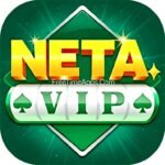 NETA VIP
