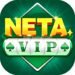 NETA VIP
